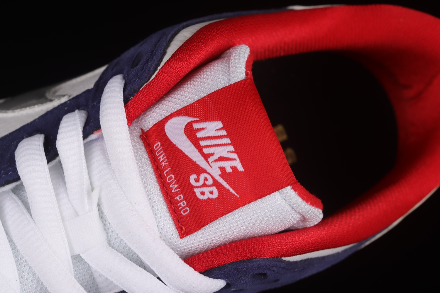 Nike Dunk SB Low Ishod Wair  BMW  839685-416