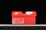 Nike Dunk Low On the Bright Side (W) DQ5076-121