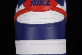 Nike Dunk Low USA (W) DD1503-119