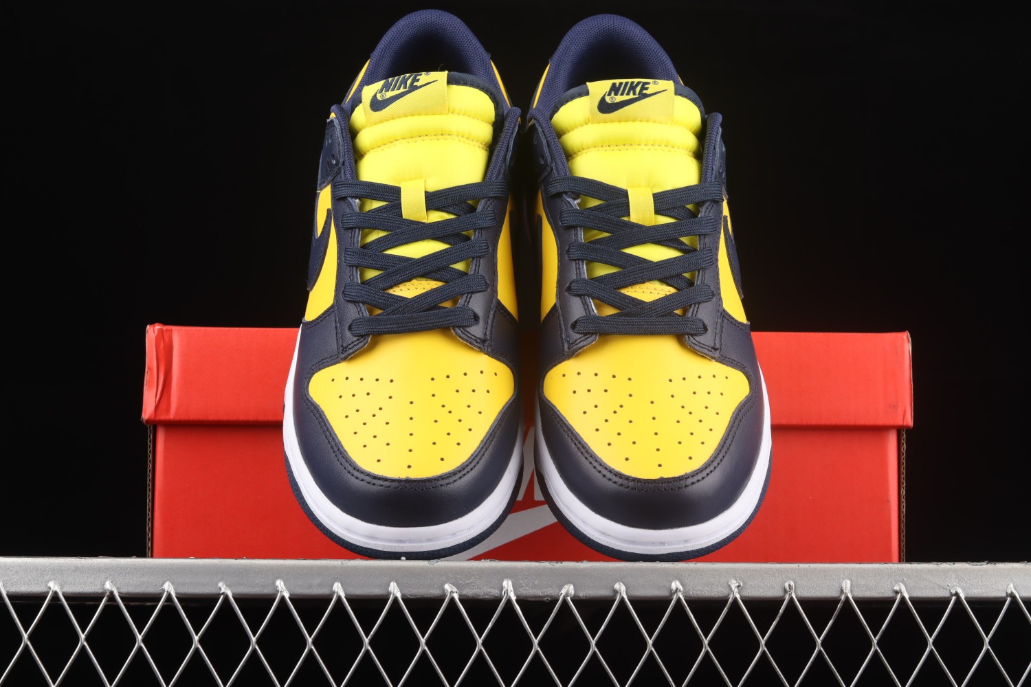 Nike Dunk Low Michigan (2021) DD1391-700