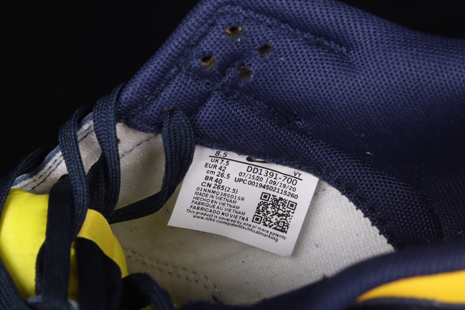 Nike Dunk Low Michigan (2021) DD1391-700