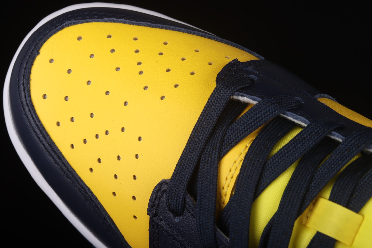 Nike Dunk Low Michigan (2021) DD1391-700