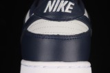 Nike Dunk Low Georgetown DD1391-003