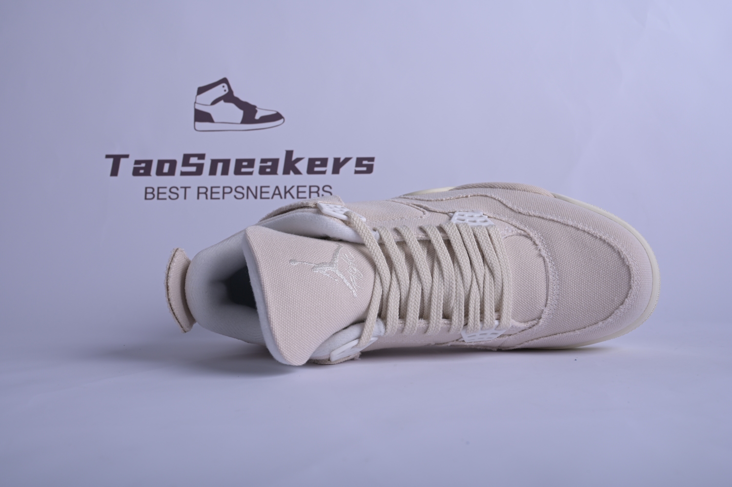 Jordan 4 Retro Blank Canvas (W) DQ4909-100