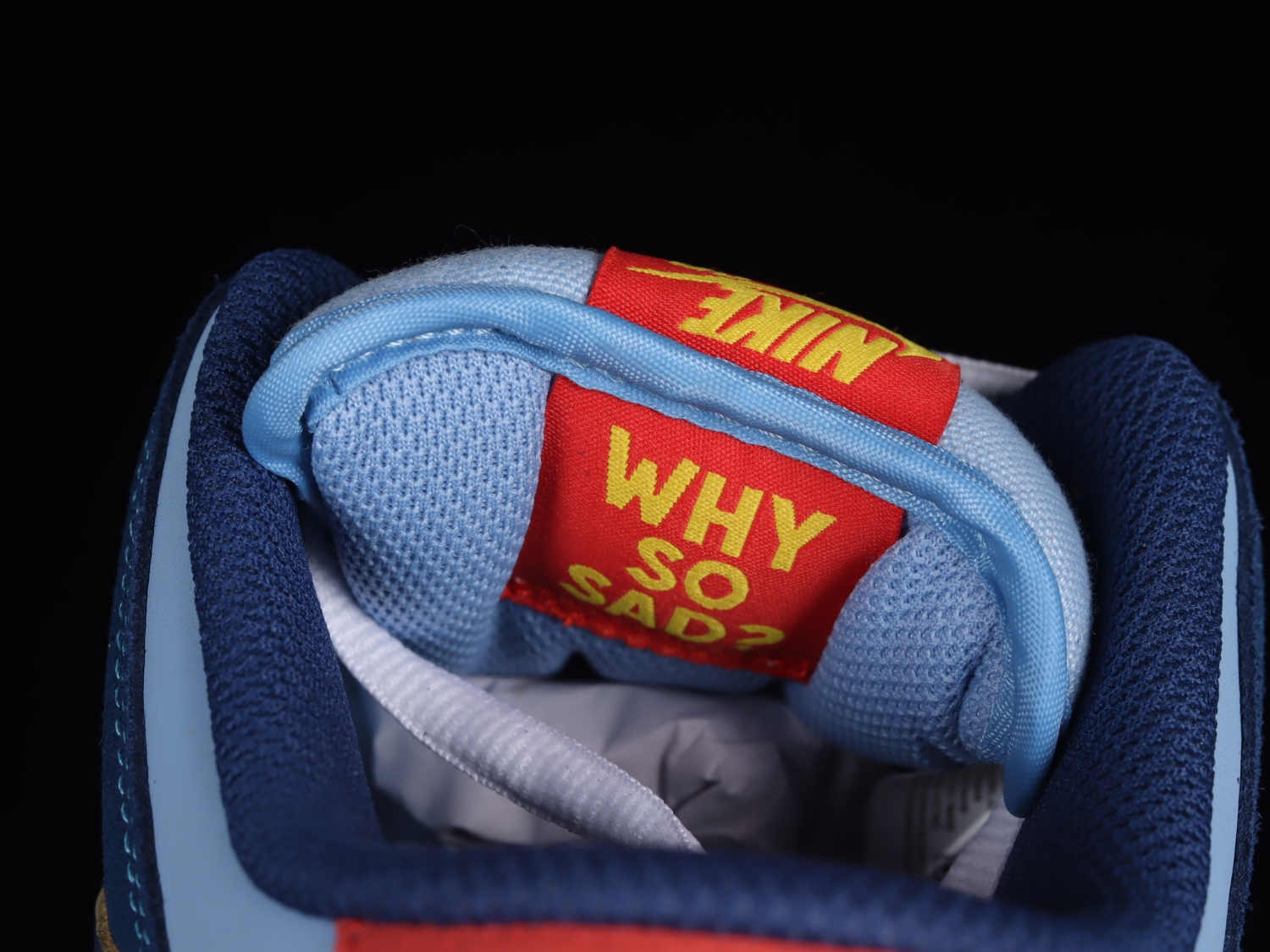 Nike SB Dunk Low Pro Why So Sad? DX5549-400