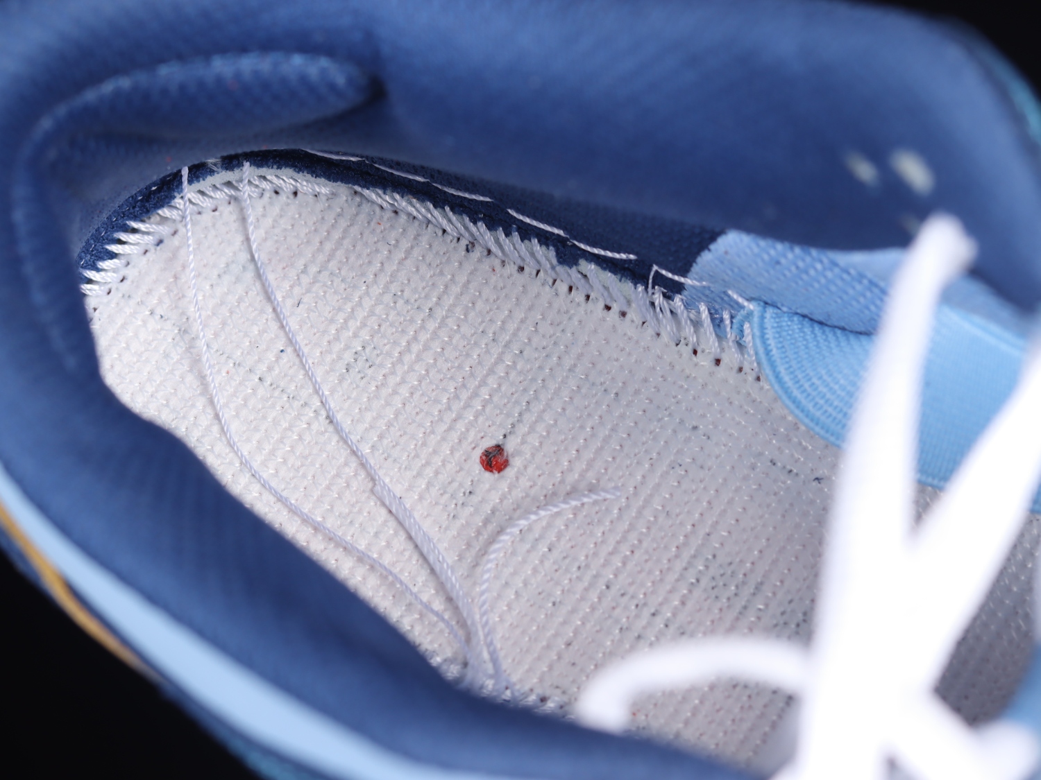Nike SB Dunk Low Pro Why So Sad? DX5549-400