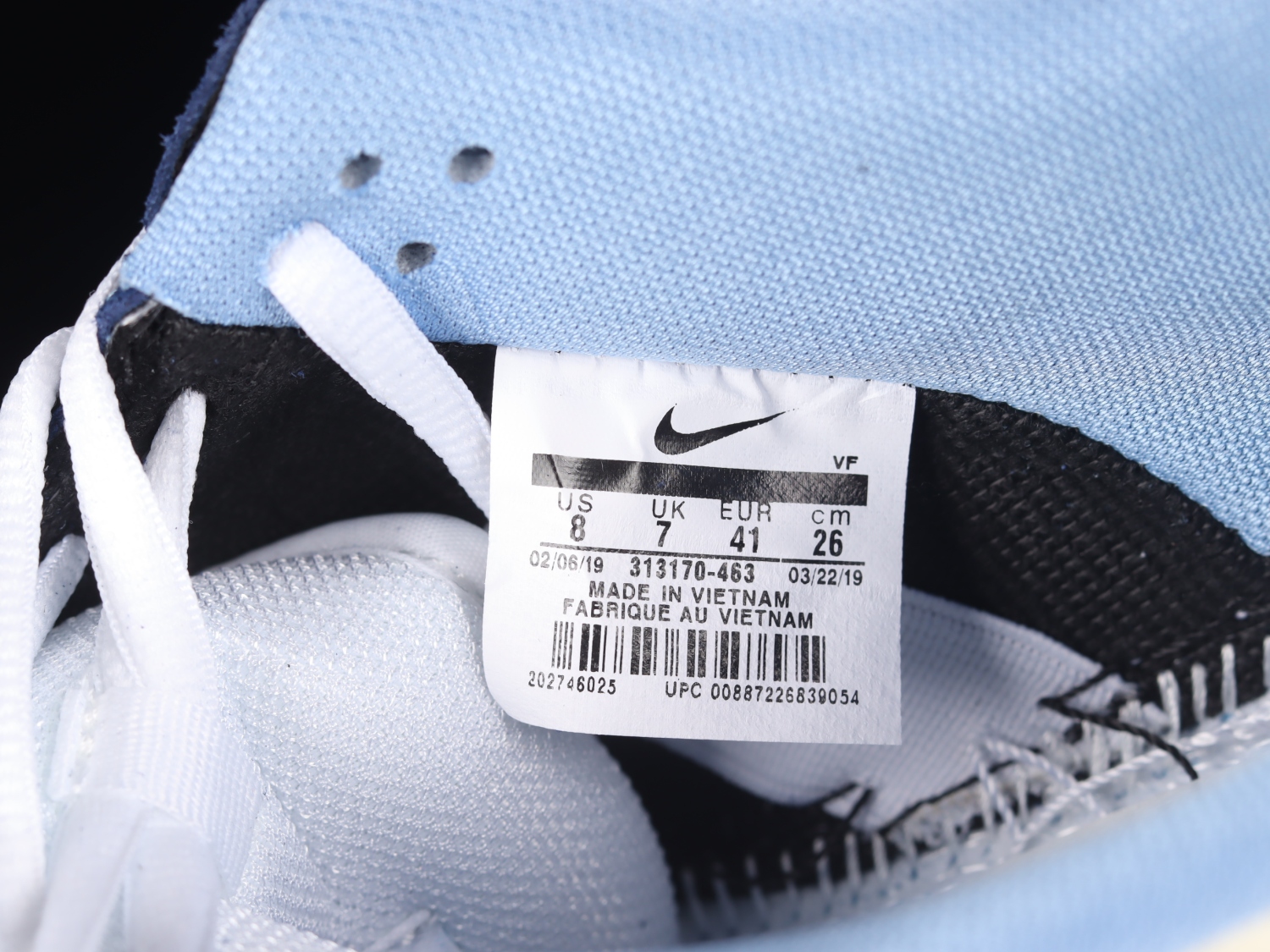 Nike Dunk SB Low FTC Finally 313170-463