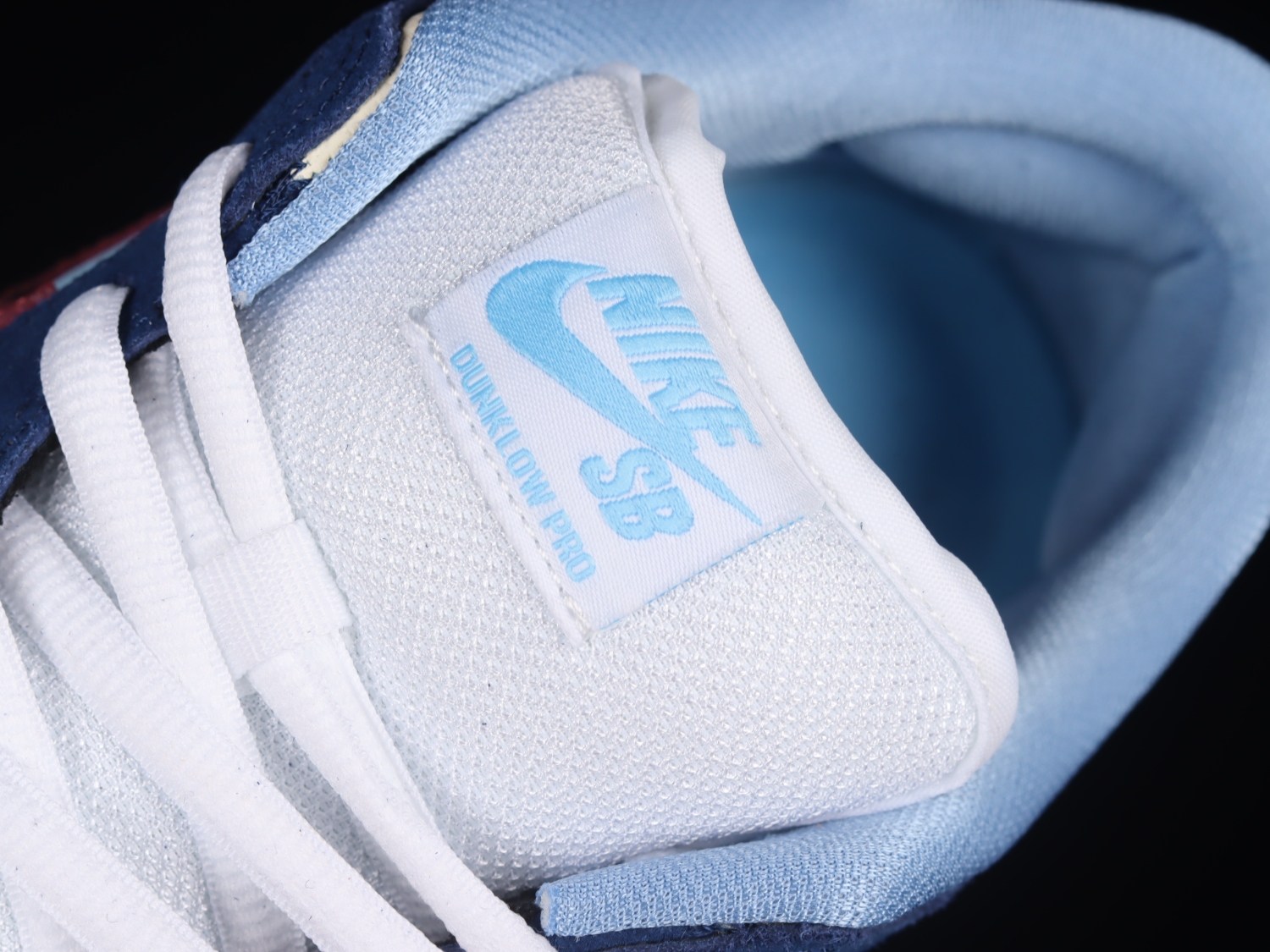 Nike Dunk SB Low FTC Finally 313170-463