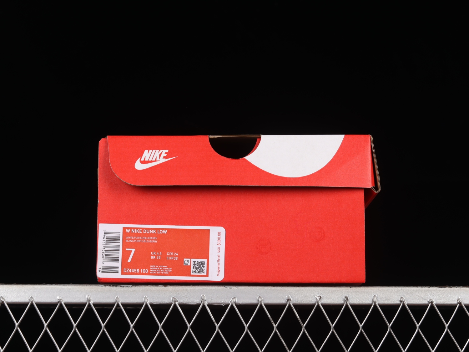 Nike Dunk Low Blueberry (GS)  DZ4456-100