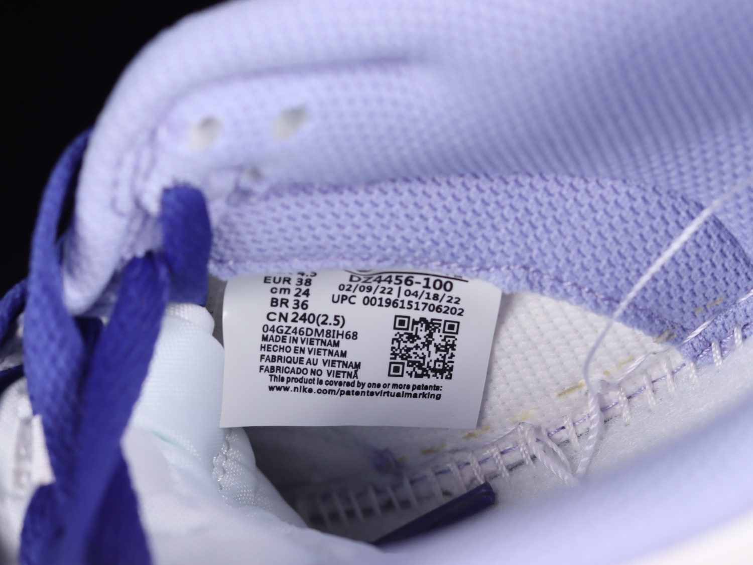 Nike Dunk Low Blueberry (GS)  DZ4456-100