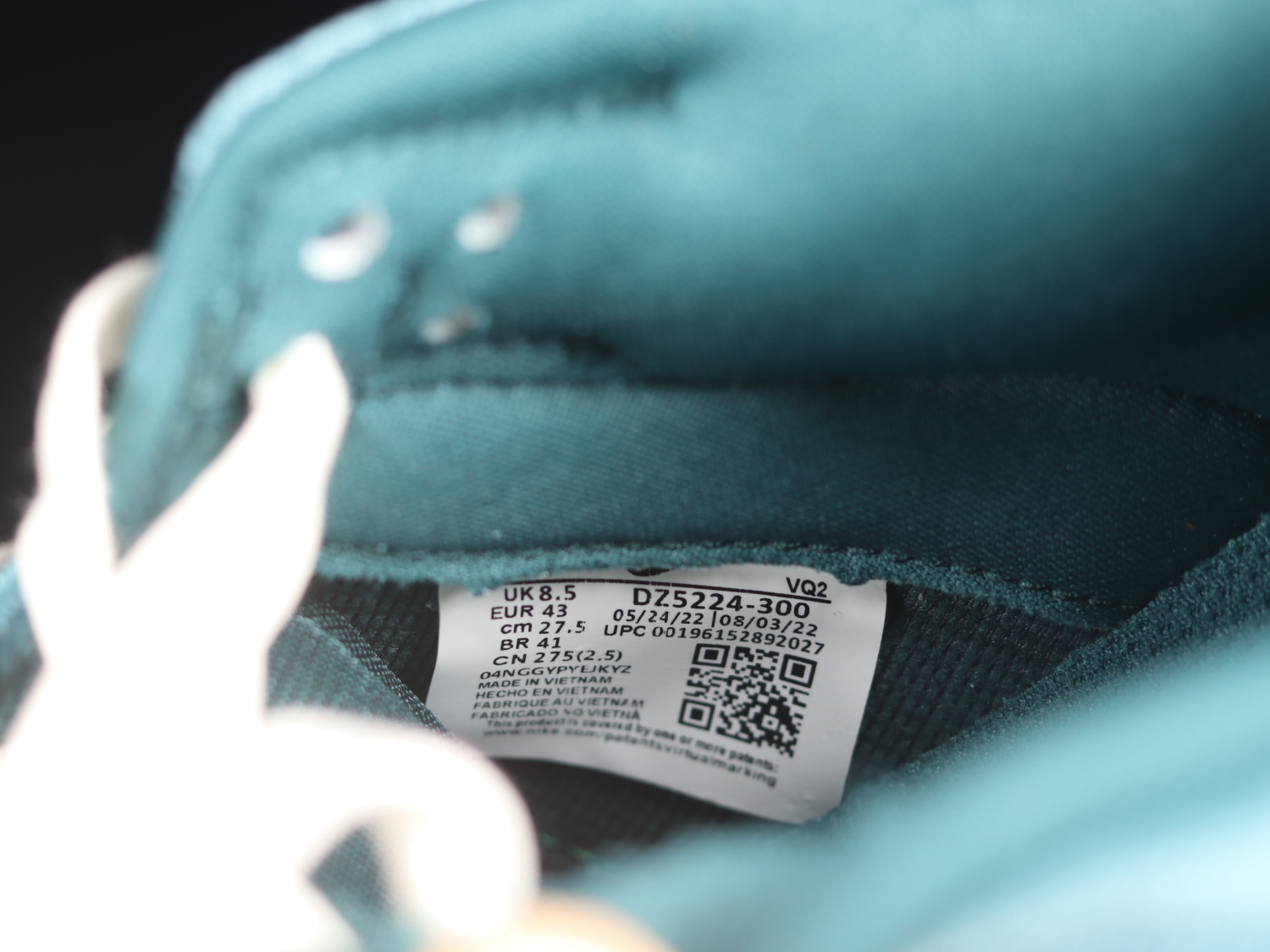 Nike Dunk Low Velvet Teal (W)  DZ5224-300