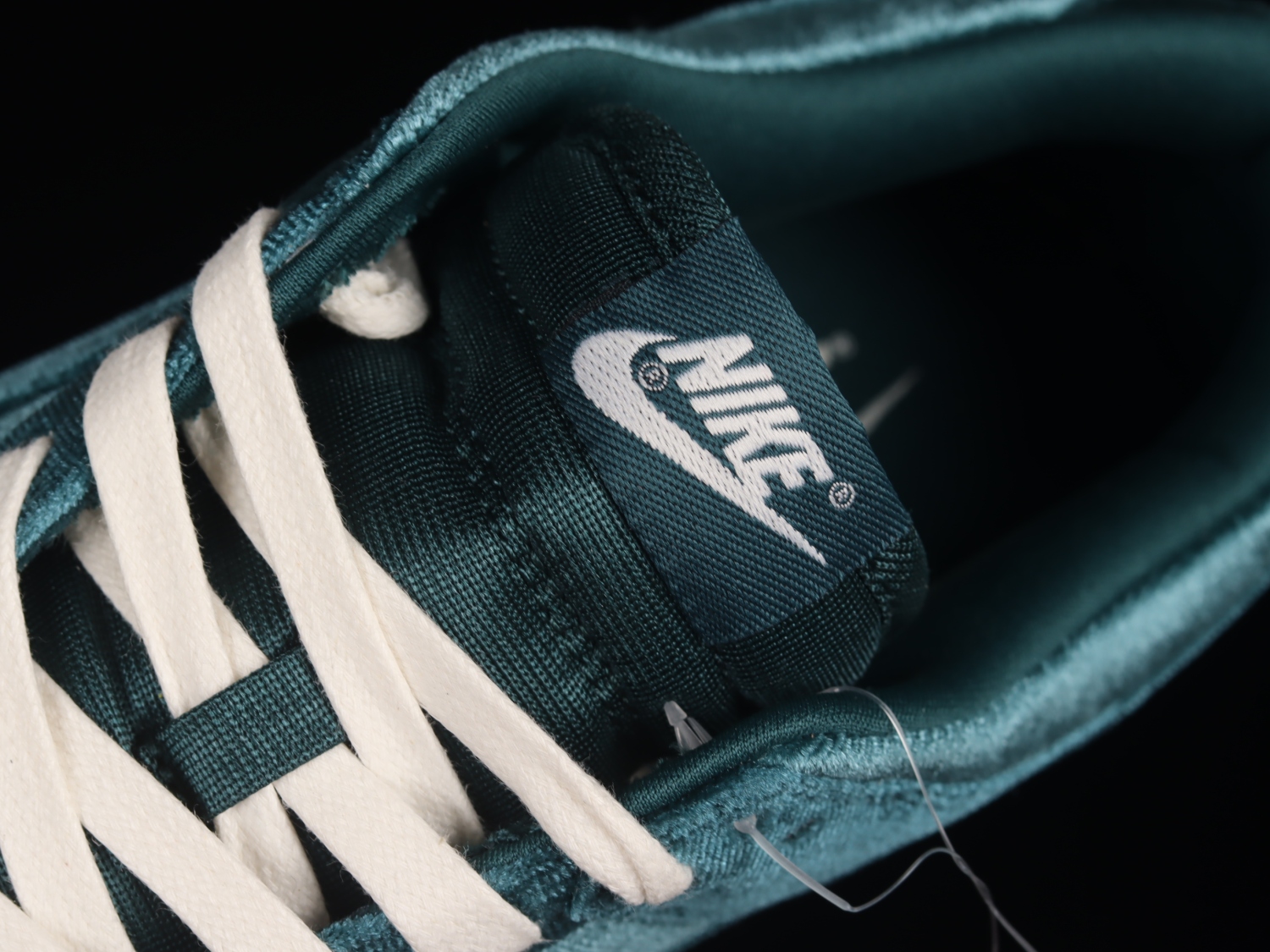 Nike Dunk Low Velvet Teal (W)  DZ5224-300