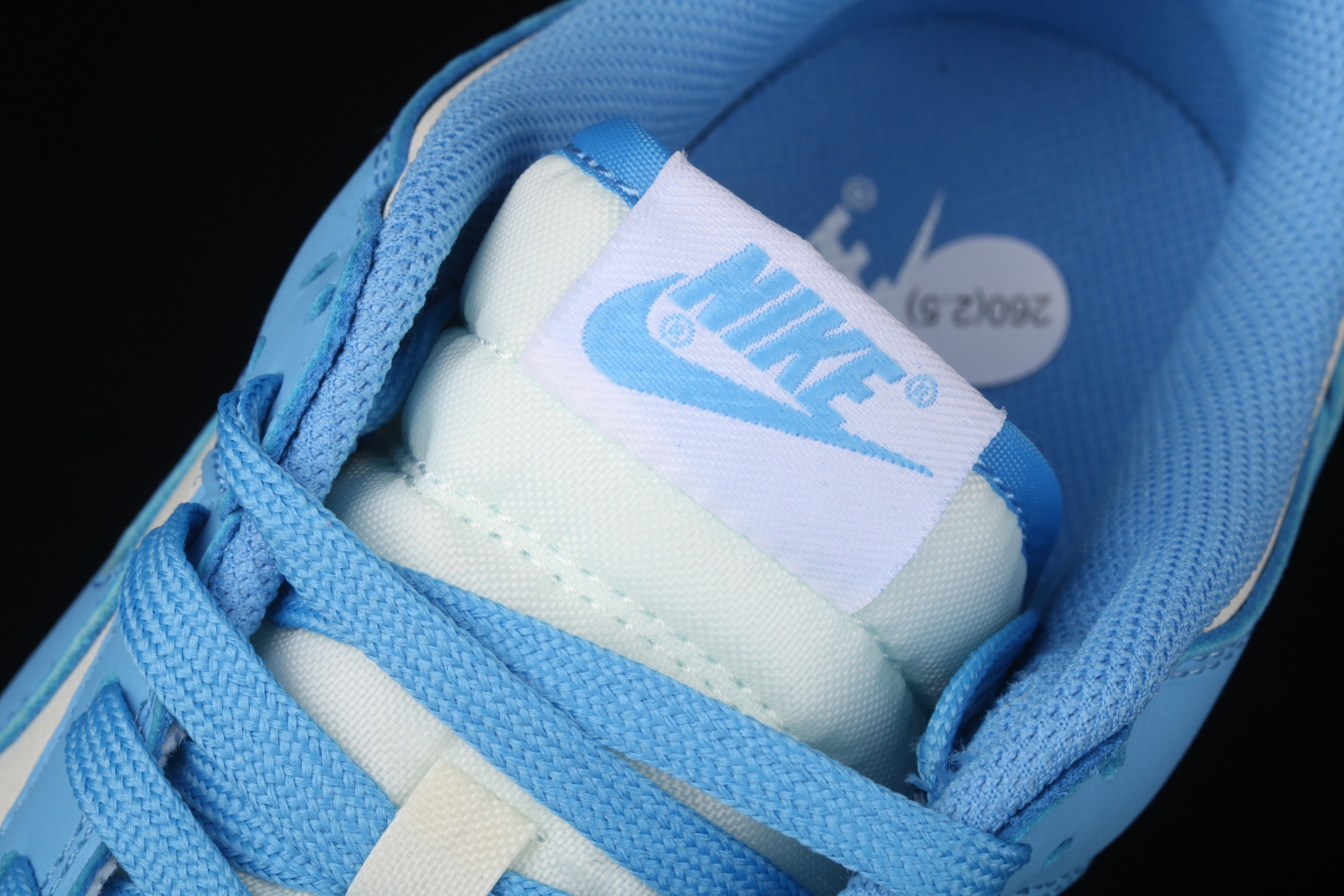 Nike Dunk Low UNC (2021) DD1391-102(TS Batch)