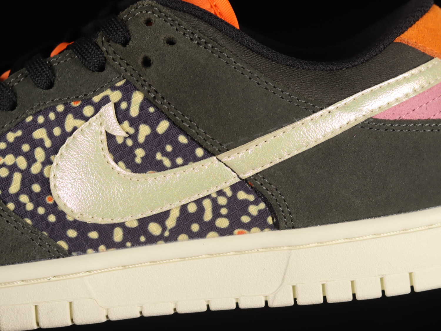 Nike Dunk Low Rainbow Trout FH7523-300