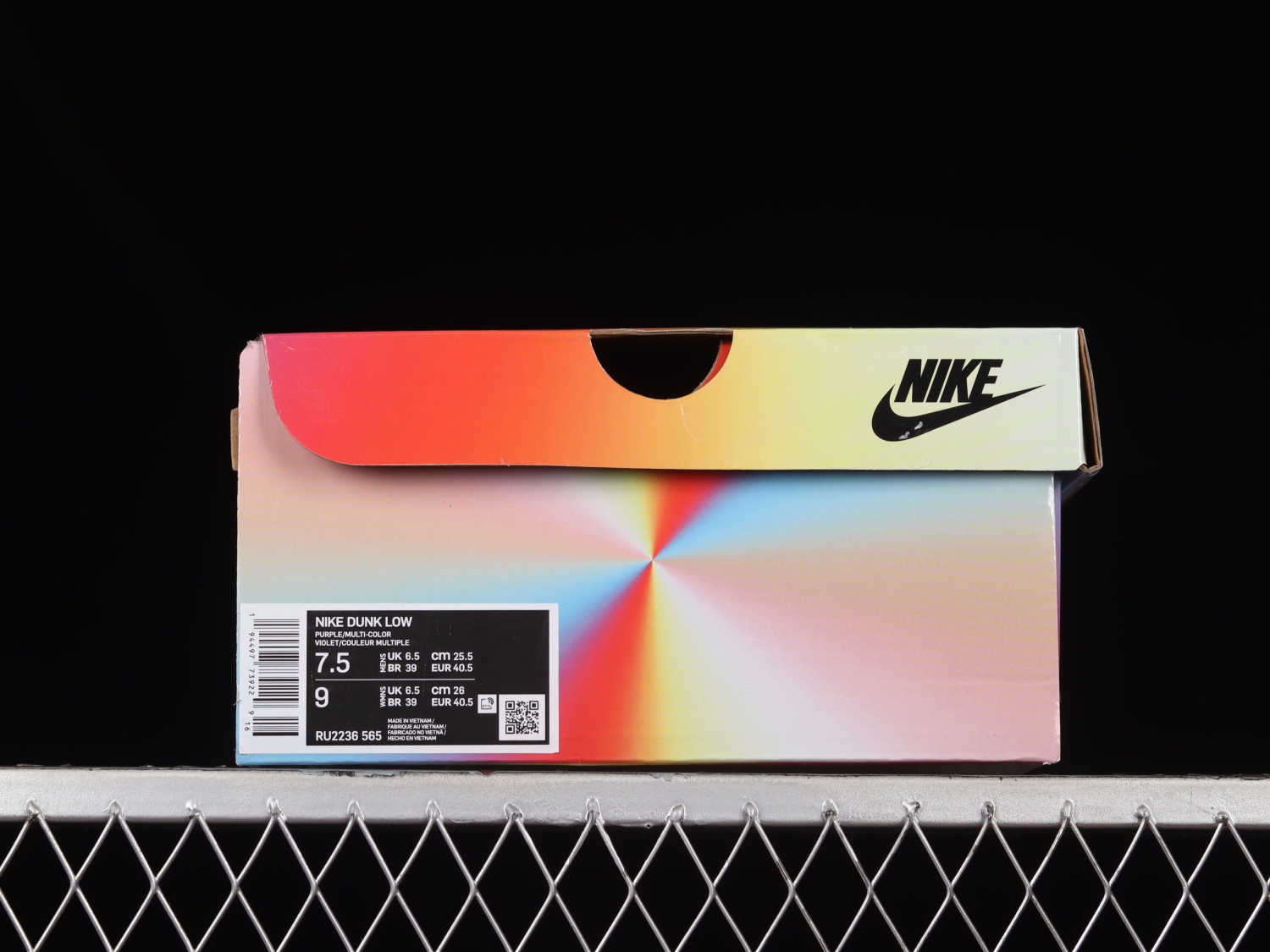 Nk SB Dunk Low RU2236-565