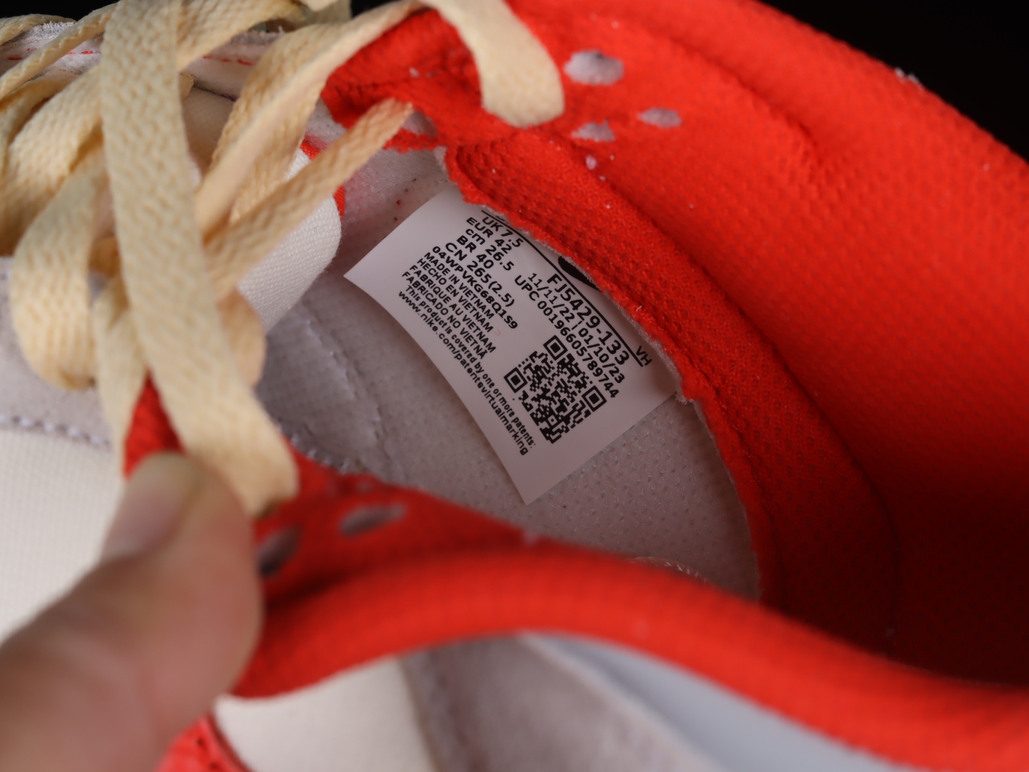 Nike Air Dunk 85 Athletic Department  FJ5429-133