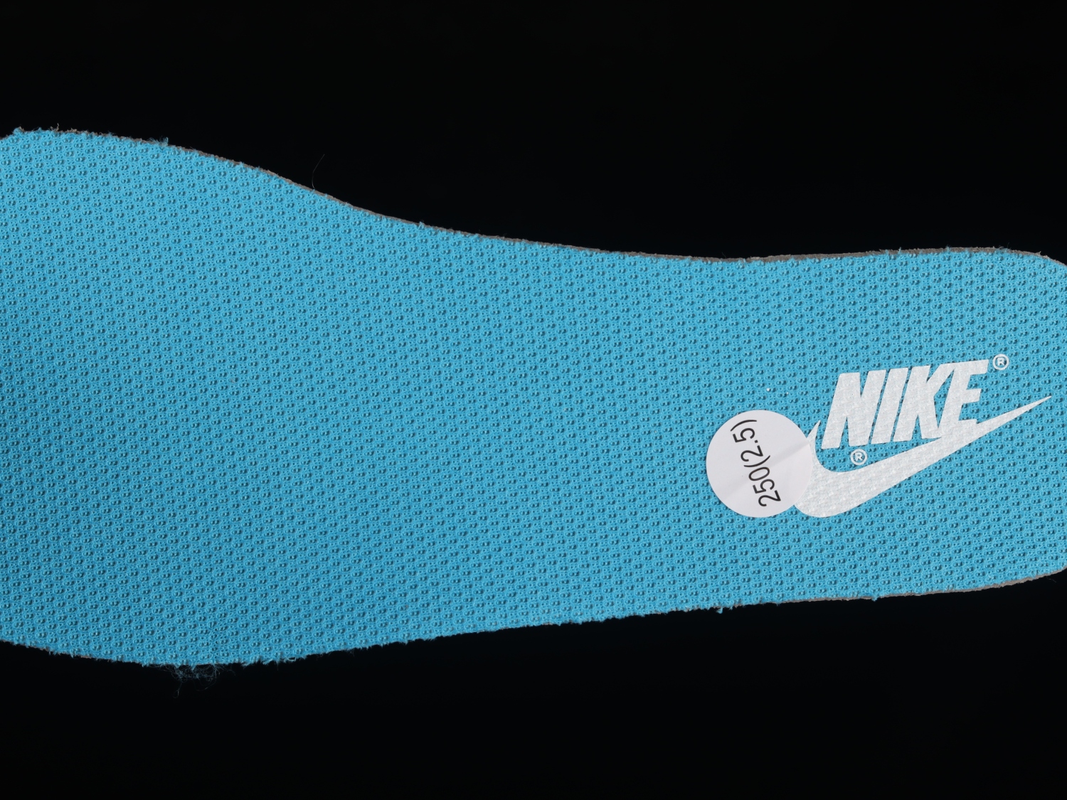 Nike Dunk Low Retro Pure Platinum Blue Lightning DV0831-001