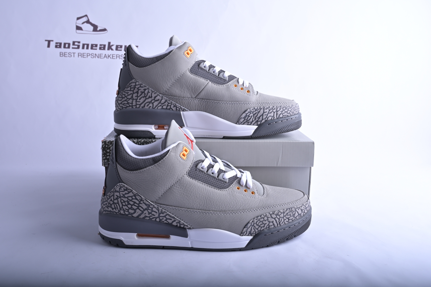 Jordan 3 Retro Cool Grey (2021) CT8532-012