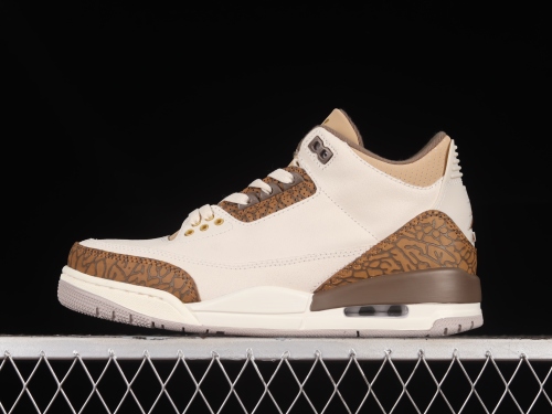Jordan 3 Retro Palomino  CT8532-102