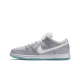 Nike SB Dunk Low Marty McFly 313170-022