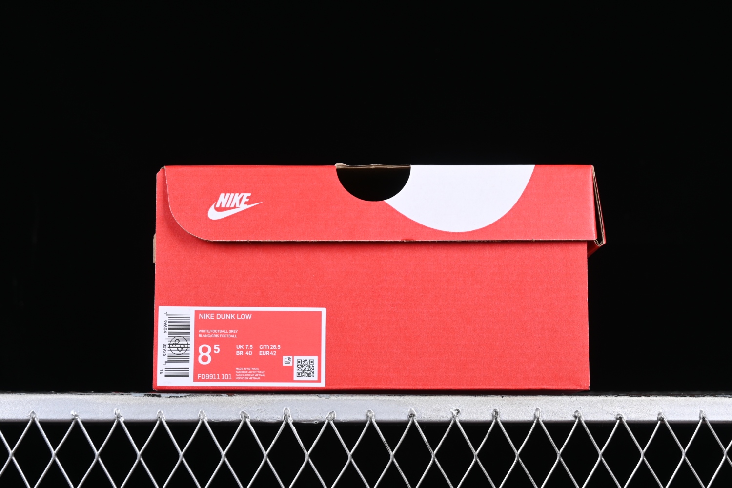 Nk SB Dunk Low FD9911-101