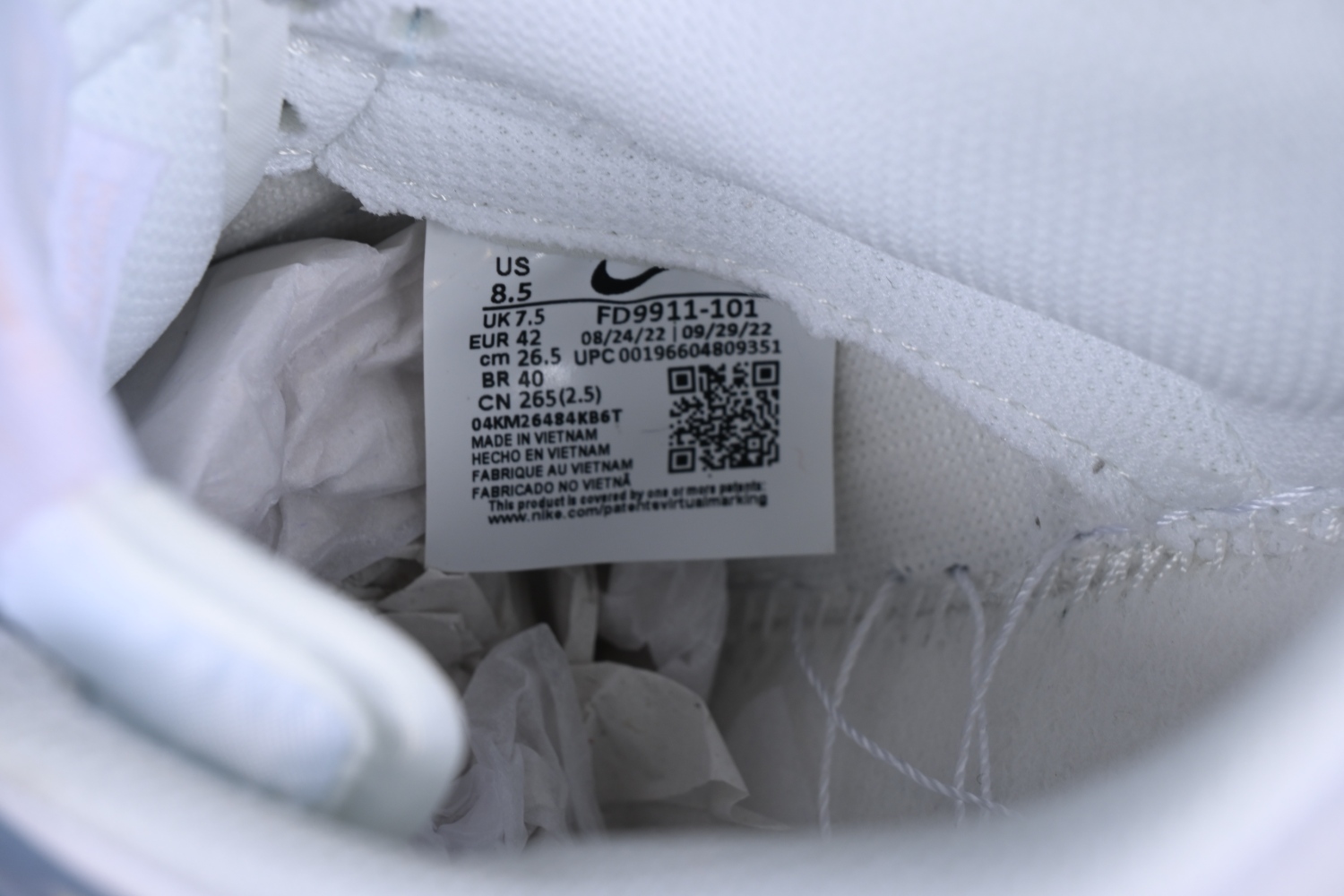 Nk SB Dunk Low FD9911-101