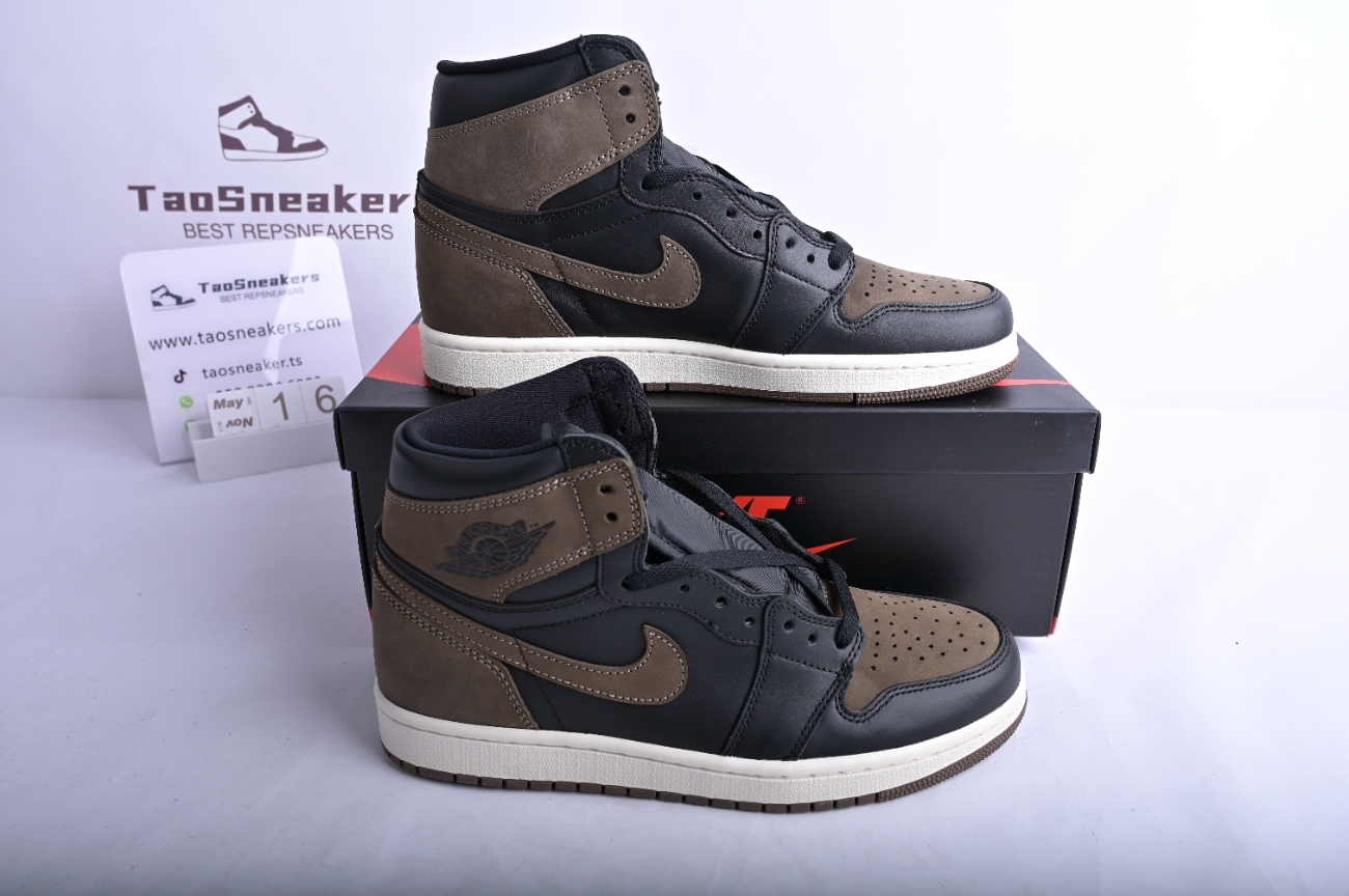 Jordan 1 Retro High OG Palomino DZ5485-020