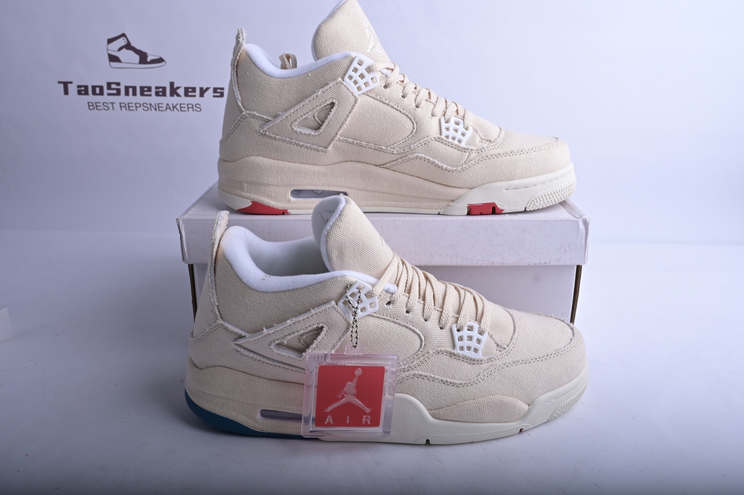 Jordan 4 Retro Blank Canvas (W) DQ4909-100