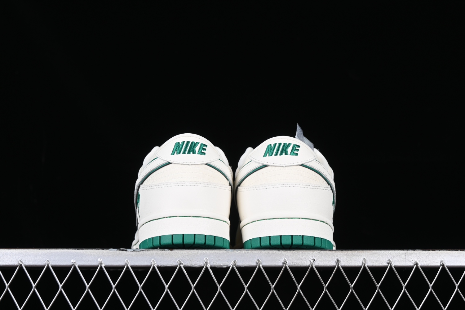 Nk SB Dunk Low TS FC1688-109