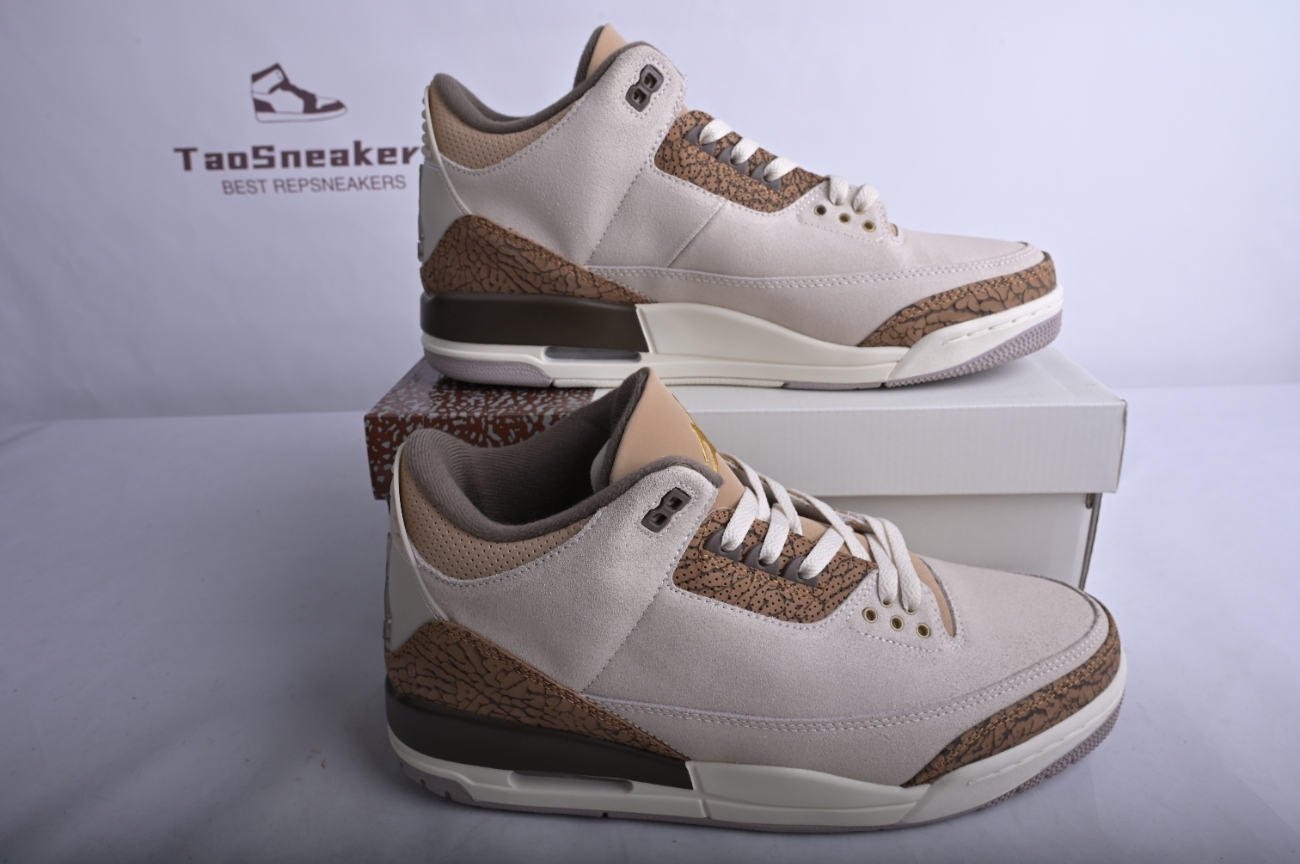 Jordan 3 Retro Palomino  CT8532-102