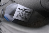 Nike SB Dunk Low Iron Low 304292-022