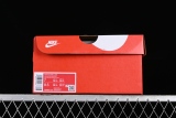 Nike SB Dunk Low  Pale Ivory  FQ6869-131