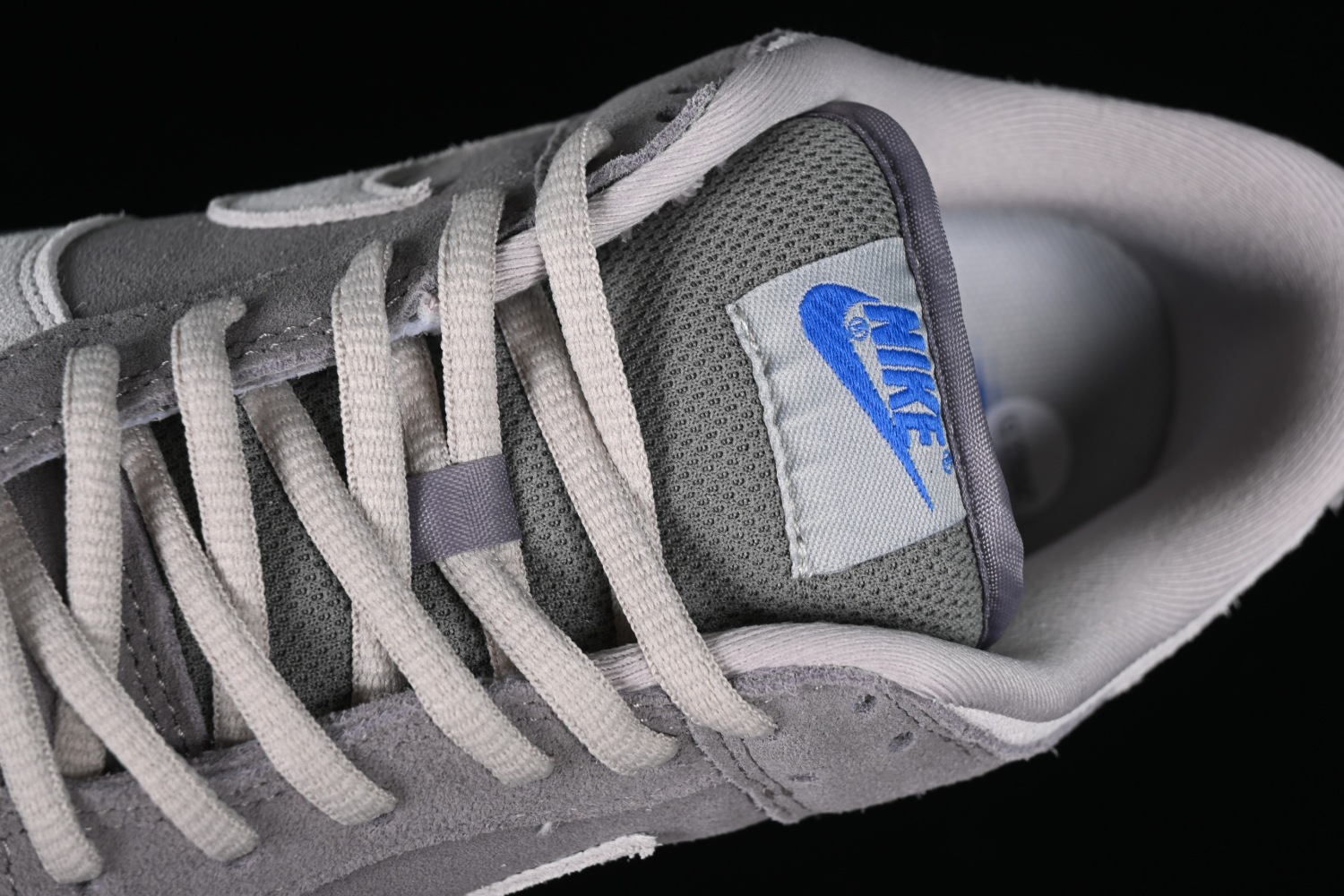 Nike SB Dunk Low 308269-111
