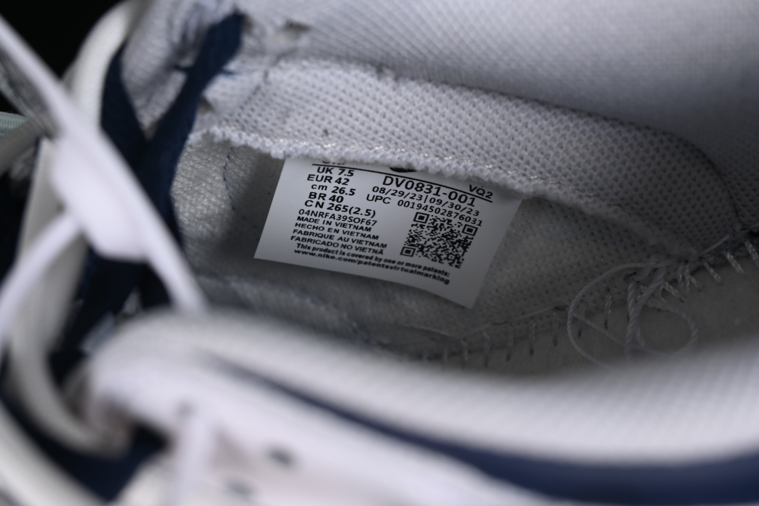 Nike Dunk Low DV0831-001