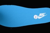 Nike Dunk Low DV0831-001