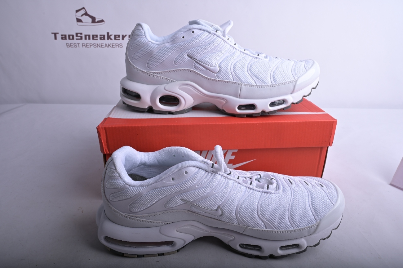 Nike Air Max Plus White Metallic Silver CW7044-100