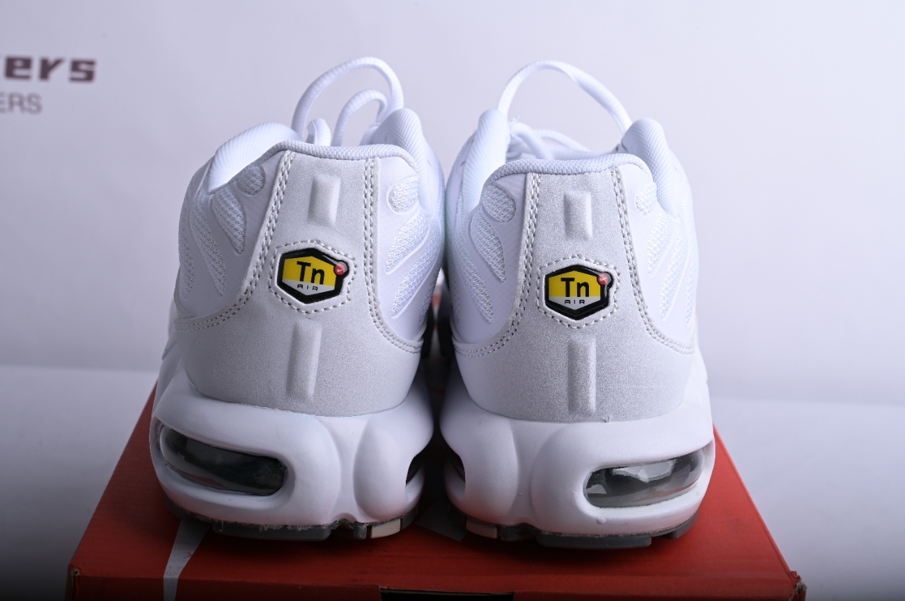 Nike Air Max Plus White Metallic Silver CW7044-100