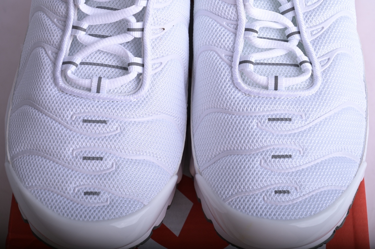 Nike Air Max Plus White Metallic Silver CW7044-100
