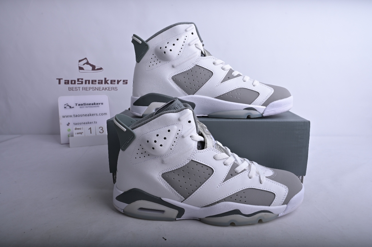 Jordan 6 Retro Cool Grey CT8529-100