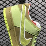 CONCEPTS × Nike Dunk SB BV1310-566