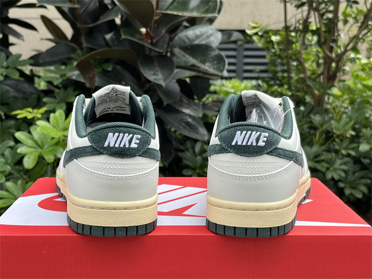 Nike Dunk Low  Athletic Department DQ8080-133