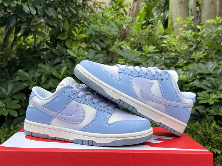 Nike Dunk Low “Blue Canvas” FN0323-400
