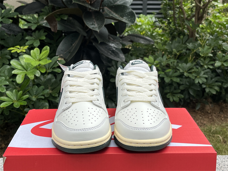 Nike Dunk Low  Athletic Department DQ8080-133