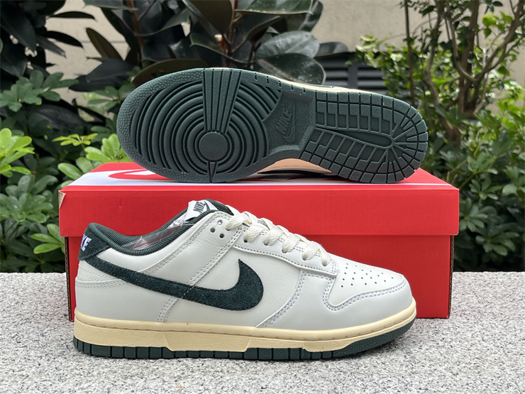 Nike Dunk Low  Athletic Department DQ8080-133