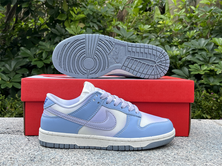 Nike Dunk Low “Blue Canvas” FN0323-400