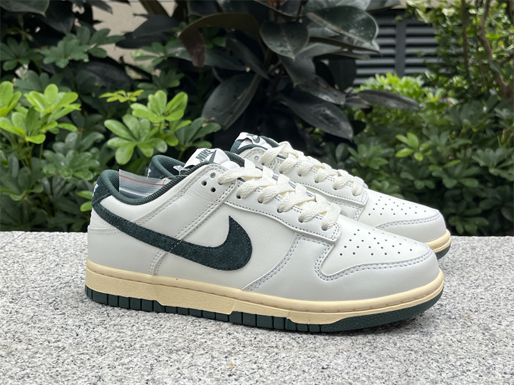 Nike Dunk Low  Athletic Department DQ8080-133