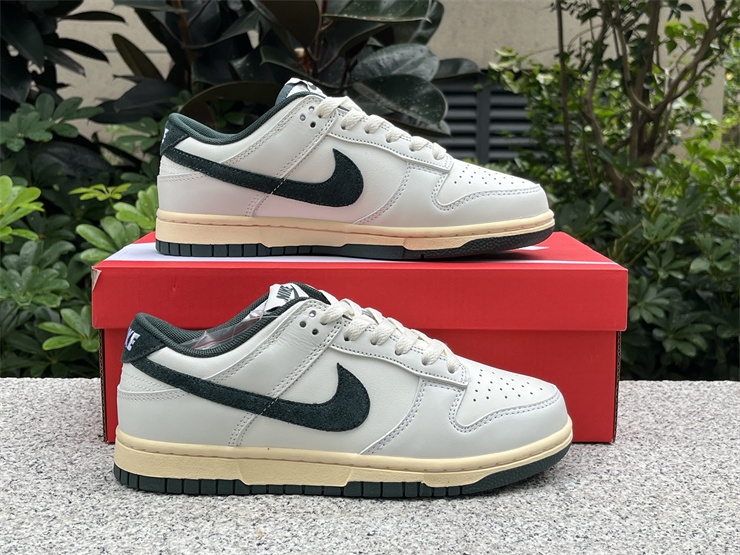 Nike Dunk Low  Athletic Department DQ8080-133