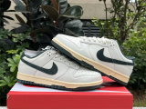 Nike Dunk Low  Athletic Department DQ8080-133