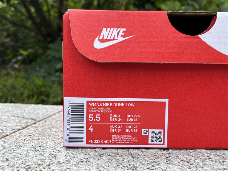 Nike Dunk Low “Blue Canvas” FN0323-400