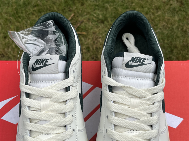 Nike Dunk Low  Athletic Department DQ8080-133